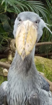 那須どうぶつ王国に投稿された画像（2020/10/19）