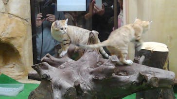 那須どうぶつ王国に投稿された画像（2020/10/19）