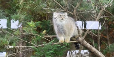 那須どうぶつ王国に投稿された画像（2020/10/19）