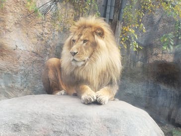 旭川市旭山動物園に投稿された画像（2020/10/19）