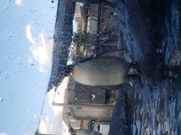 旭川市旭山動物園に投稿された画像（2020/10/19）