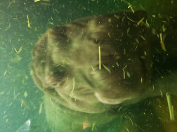 旭川市旭山動物園に投稿された画像（2020/10/19）