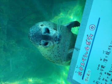 旭川市旭山動物園に投稿された画像（2020/10/19）