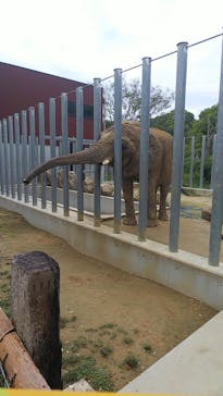 しろとり動物園に投稿された画像（2020/10/19）
