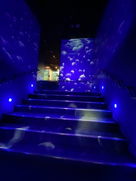 サンシャイン水族館に投稿された画像（2020/10/19）