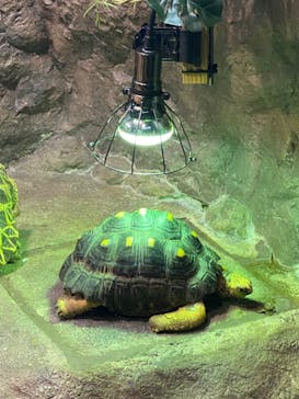 サンシャイン水族館に投稿された画像（2020/10/19）