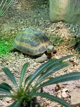 サンシャイン水族館に投稿された画像（2020/10/19）