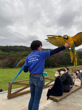 那須どうぶつ王国に投稿された画像（2020/10/19）