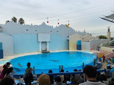 株式会社Gに投稿された画像（2020/10/19）