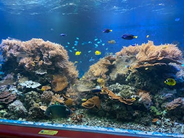 株式会社Gに投稿された画像（2020/10/19）