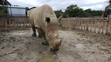 那須サファリパークに投稿された画像（2020/10/19）