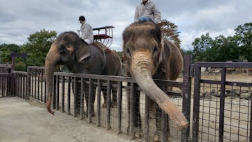 那須サファリパークに投稿された画像（2020/10/19）