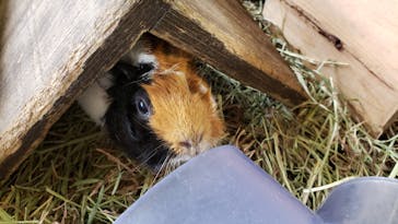 那須サファリパークに投稿された画像（2020/10/19）