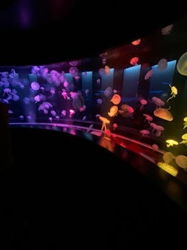 京都水族館に投稿された画像（2020/10/19）