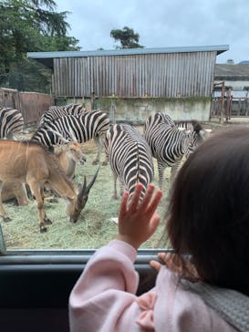 群馬サファリパークに投稿された画像（2020/10/19）