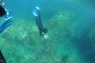 屋久島ガイドクラブに投稿された画像（2020/10/19）