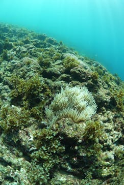 屋久島ガイドクラブに投稿された画像（2020/10/19）