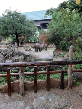 天王寺動物園に投稿された画像（2020/10/19）