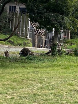 天王寺動物園に投稿された画像（2020/10/19）
