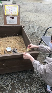 しろとり動物園に投稿された画像（2020/10/19）