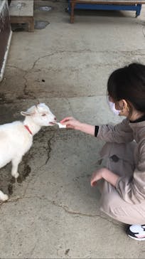 しろとり動物園に投稿された画像（2020/10/19）