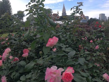 新宿御苑に投稿された画像（2020/10/20）