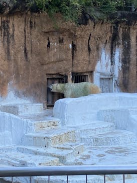 天王寺動物園に投稿された画像（2020/10/20）