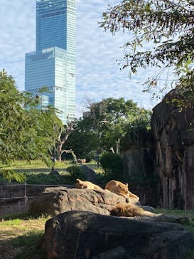 天王寺動物園に投稿された画像（2020/10/20）