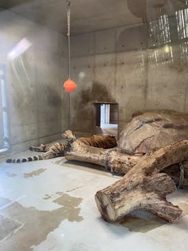 天王寺動物園に投稿された画像（2020/10/20）