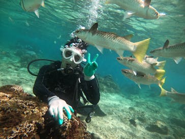 青の洞窟専門店　沖縄ダイビングショップ和に投稿された画像（2020/10/20）