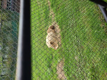 那須サファリパークに投稿された画像（2020/10/20）