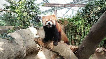 神戸どうぶつ王国に投稿された画像（2020/10/20）