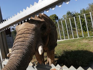 しろとり動物園に投稿された画像（2020/10/20）