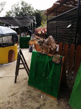 しろとり動物園に投稿された画像（2020/10/20）