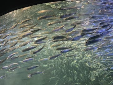 サンシャイン水族館に投稿された画像（2020/10/20）