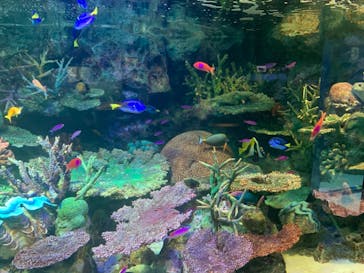 サンシャイン水族館に投稿された画像（2020/10/20）