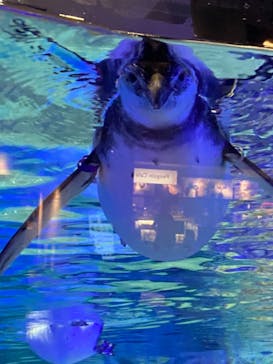 すみだ水族館に投稿された画像（2020/10/20）