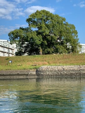 ひろしまリバークルーズに投稿された画像（2020/10/20）