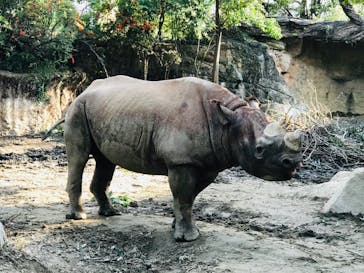 天王寺動物園に投稿された画像（2020/10/20）