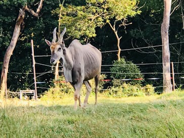 天王寺動物園に投稿された画像（2020/10/20）