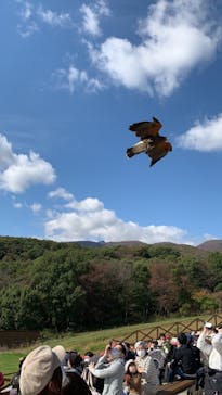 那須どうぶつ王国に投稿された画像（2020/10/20）