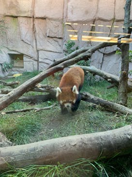 那須どうぶつ王国に投稿された画像（2020/10/20）