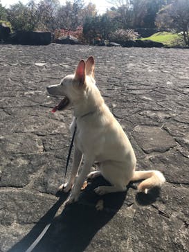 ノーザンホースパークに投稿された画像（2020/10/20）