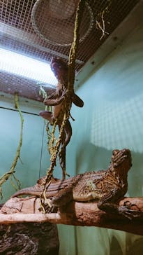 サンシャイン水族館に投稿された画像（2020/10/20）