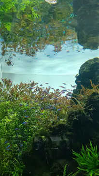 すみだ水族館に投稿された画像（2020/10/21）