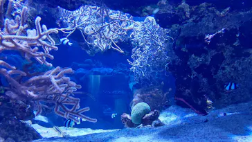 すみだ水族館に投稿された画像（2020/10/21）