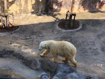 旭川市旭山動物園に投稿された画像（2020/10/21）