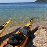 ダイドックオーシャンカヤックスに投稿された画像（2020/10/21）