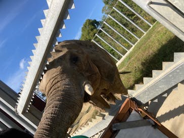 しろとり動物園に投稿された画像（2020/10/21）