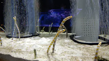 すみだ水族館に投稿された画像（2020/10/21）